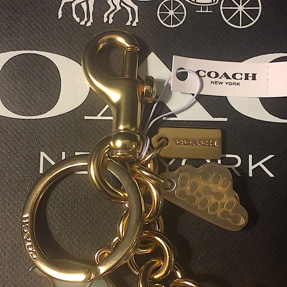COACH - RAINBOW MIXED CHARMS BAG CHARM / KEYCHAIN - Picture 4 of 11